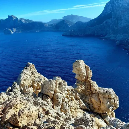 Yourhouse Llimonera *