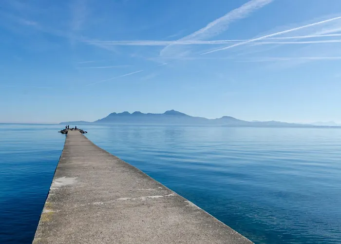 Yourhouse Llimonera *