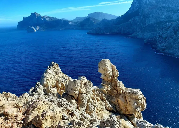 Yourhouse Llimonera *